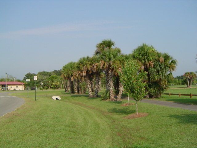 Stevenson Landscaping Project - Viera, Florida 06