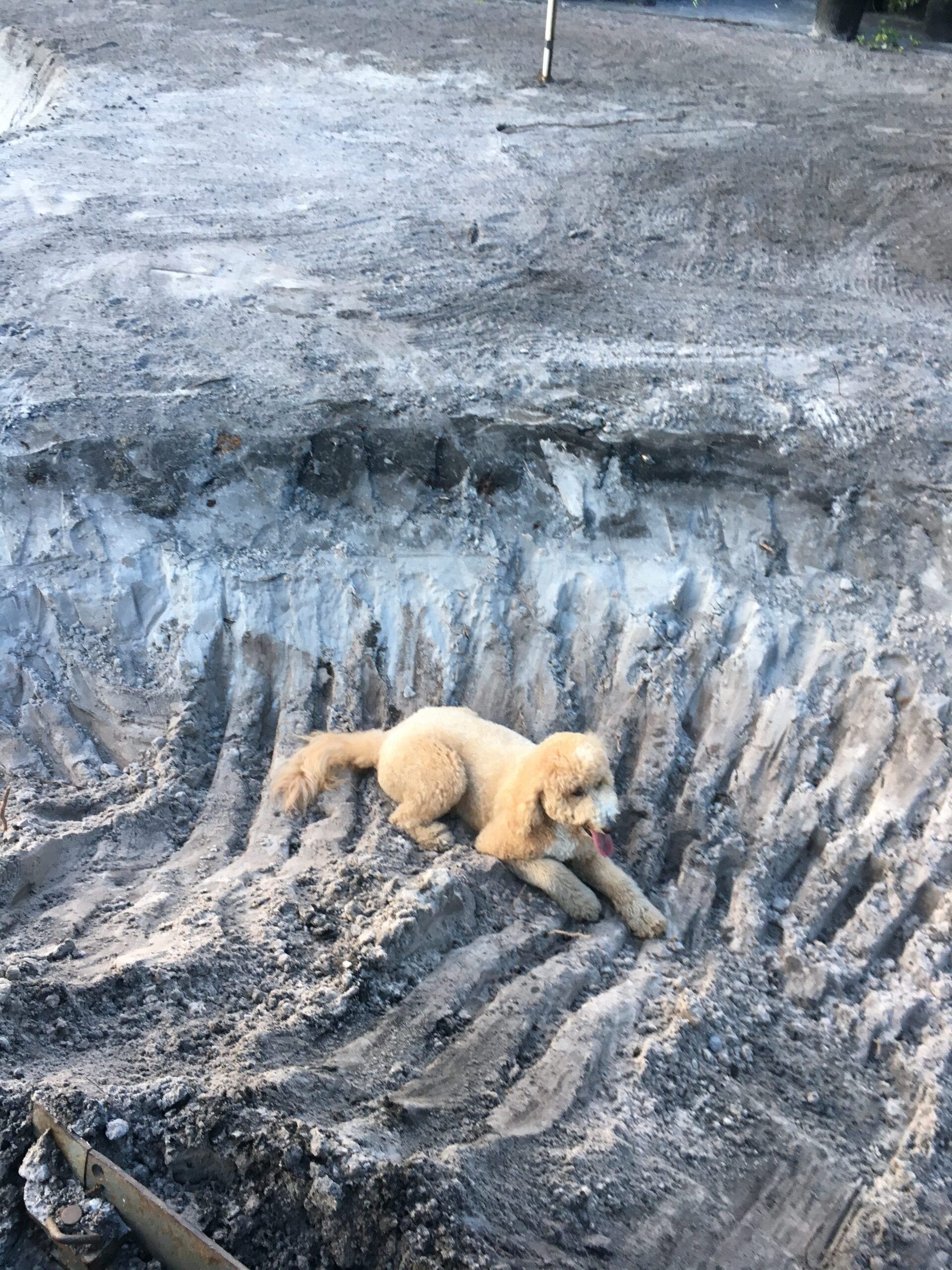 Stevenson Landscaping Project - Ashley Forest (Development) 04