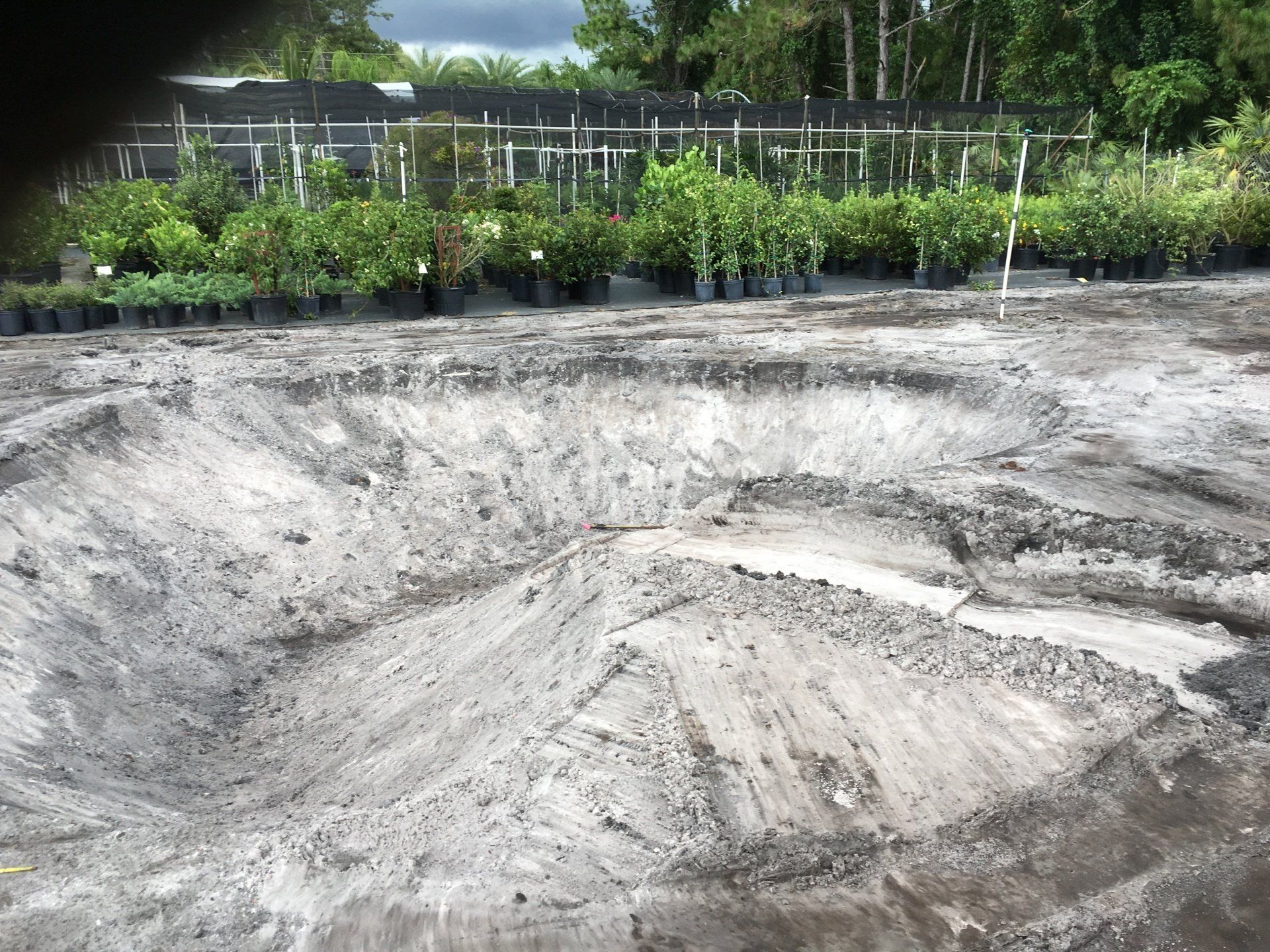 Stevenson Landscaping Project - Ashley Forest (Development) 05