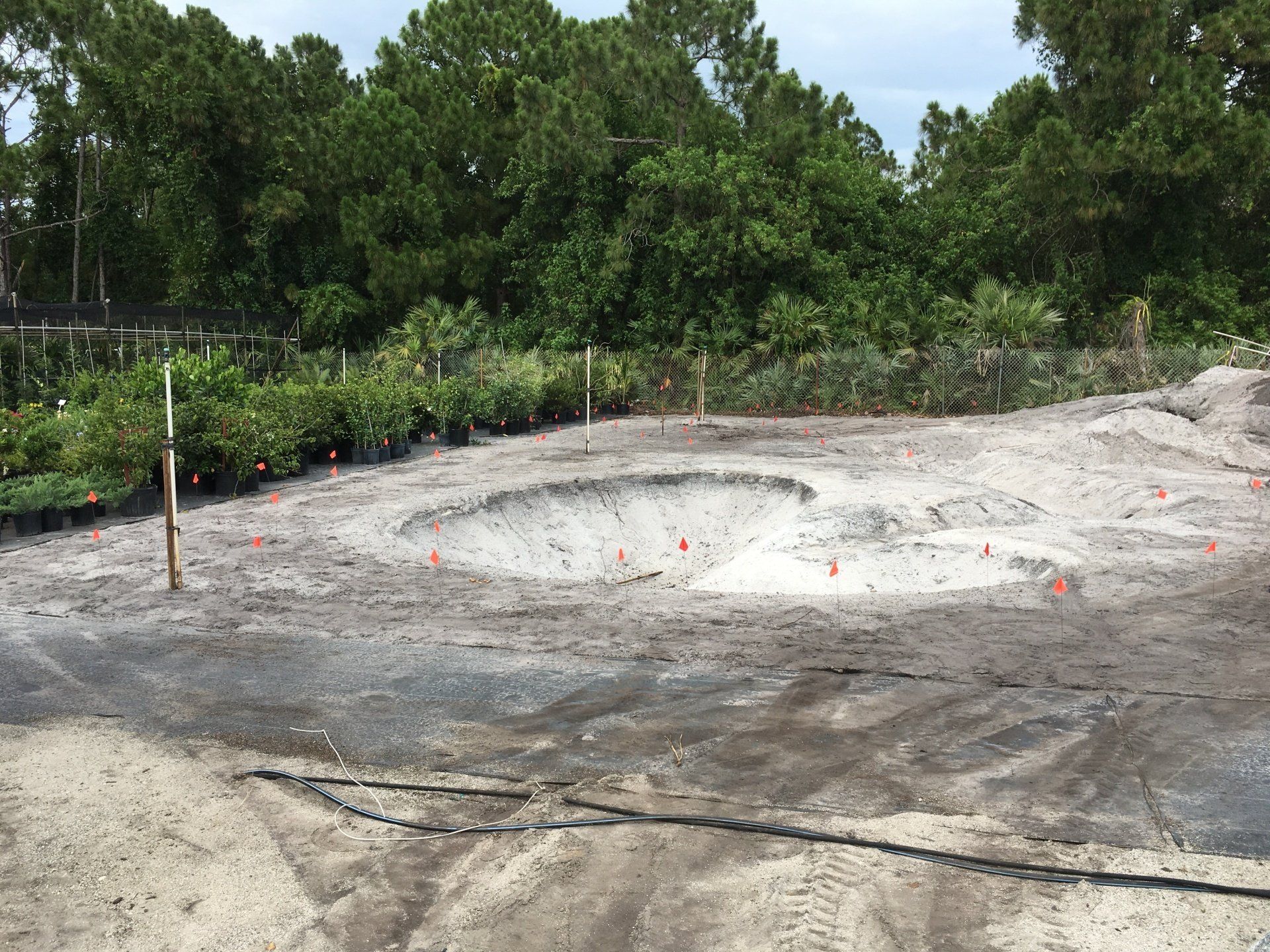 Stevenson Landscaping Project - Ashley Forest (Development) 06