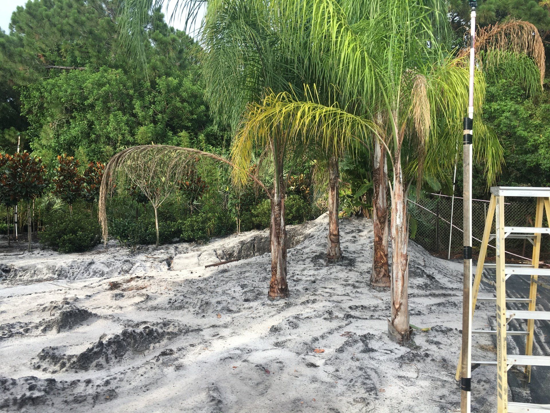 Stevenson Landscaping Project - Ashley Forest (Development) 08