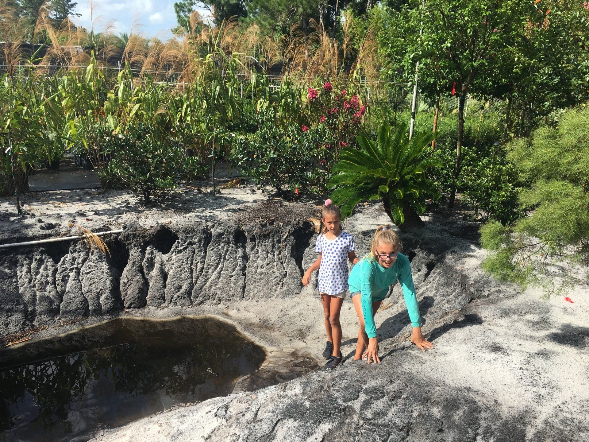 Stevenson Landscaping Project - Ashley Forest (Development) 11