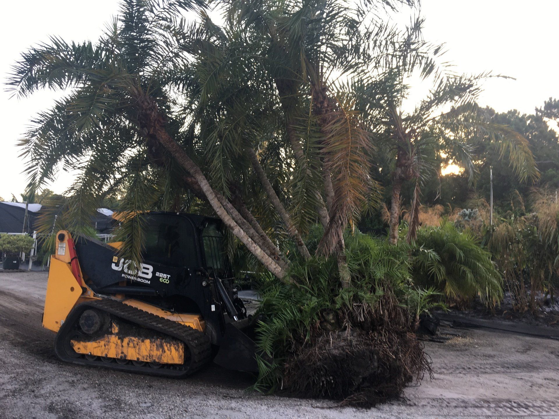 Stevenson Landscaping Project - Ashley Forest (Development) 12