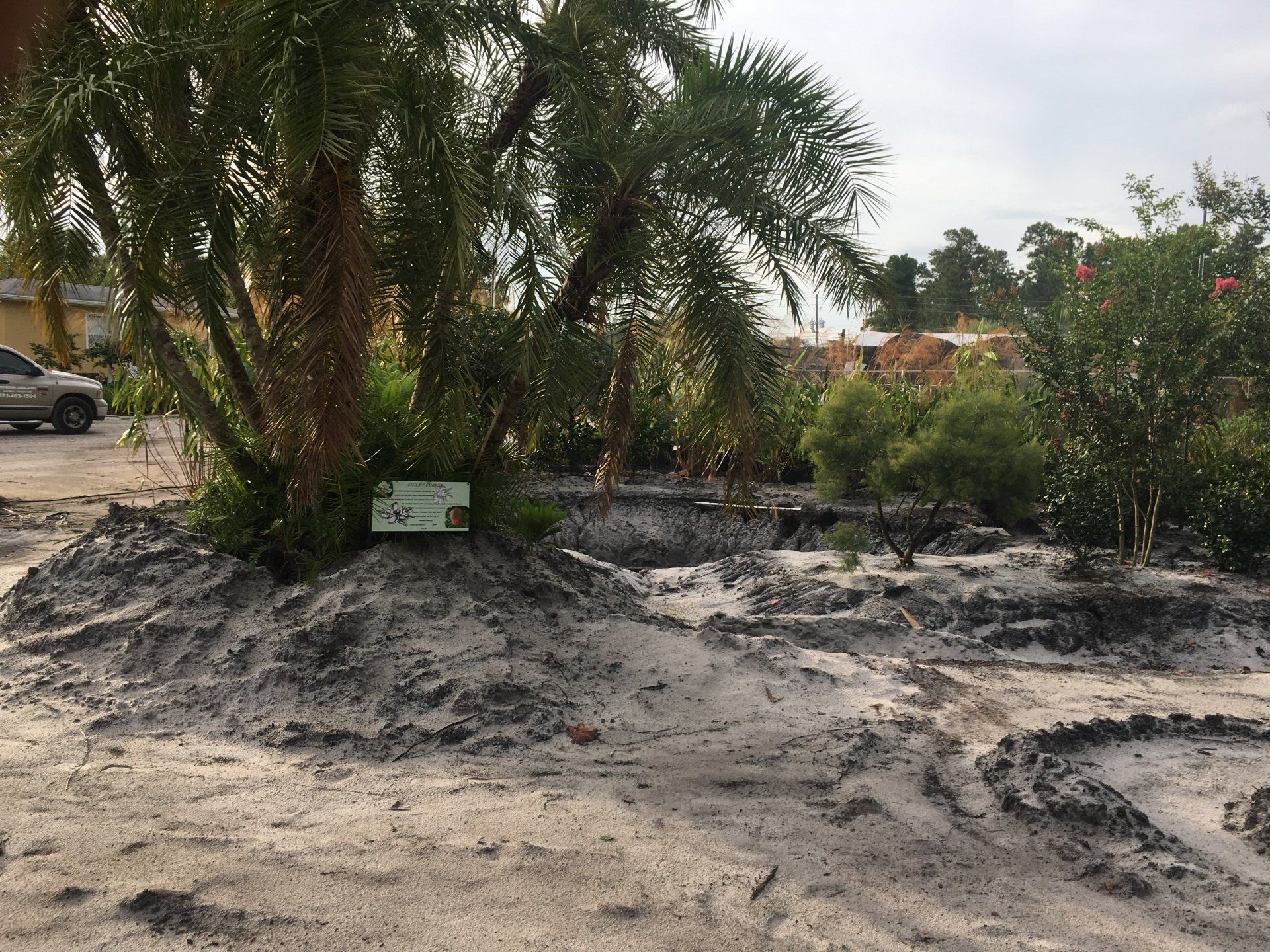 Stevenson Landscaping Project - Ashley Forest (Development) 14