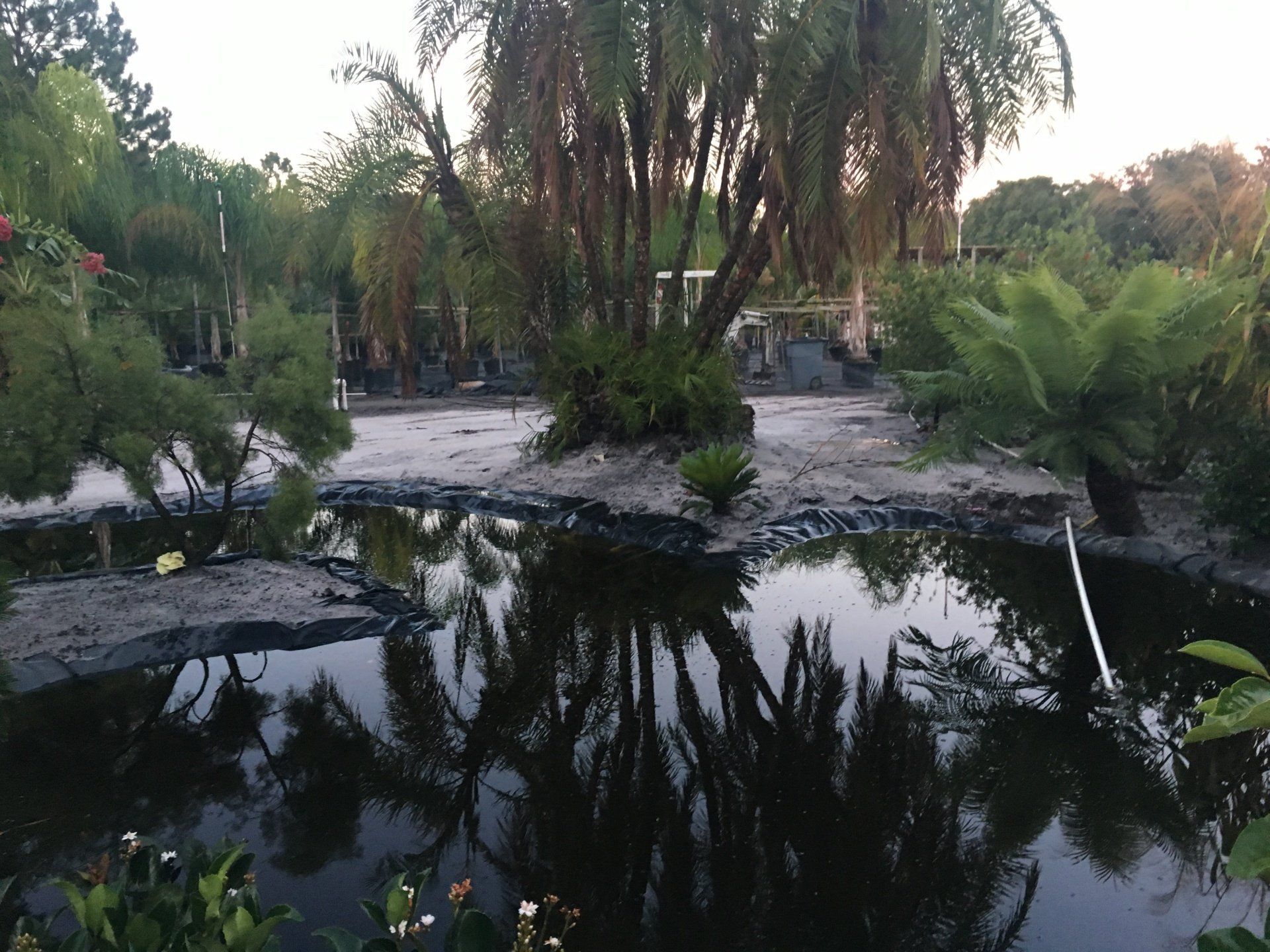 Stevenson Landscaping Project - Ashley Forest (Development) 16