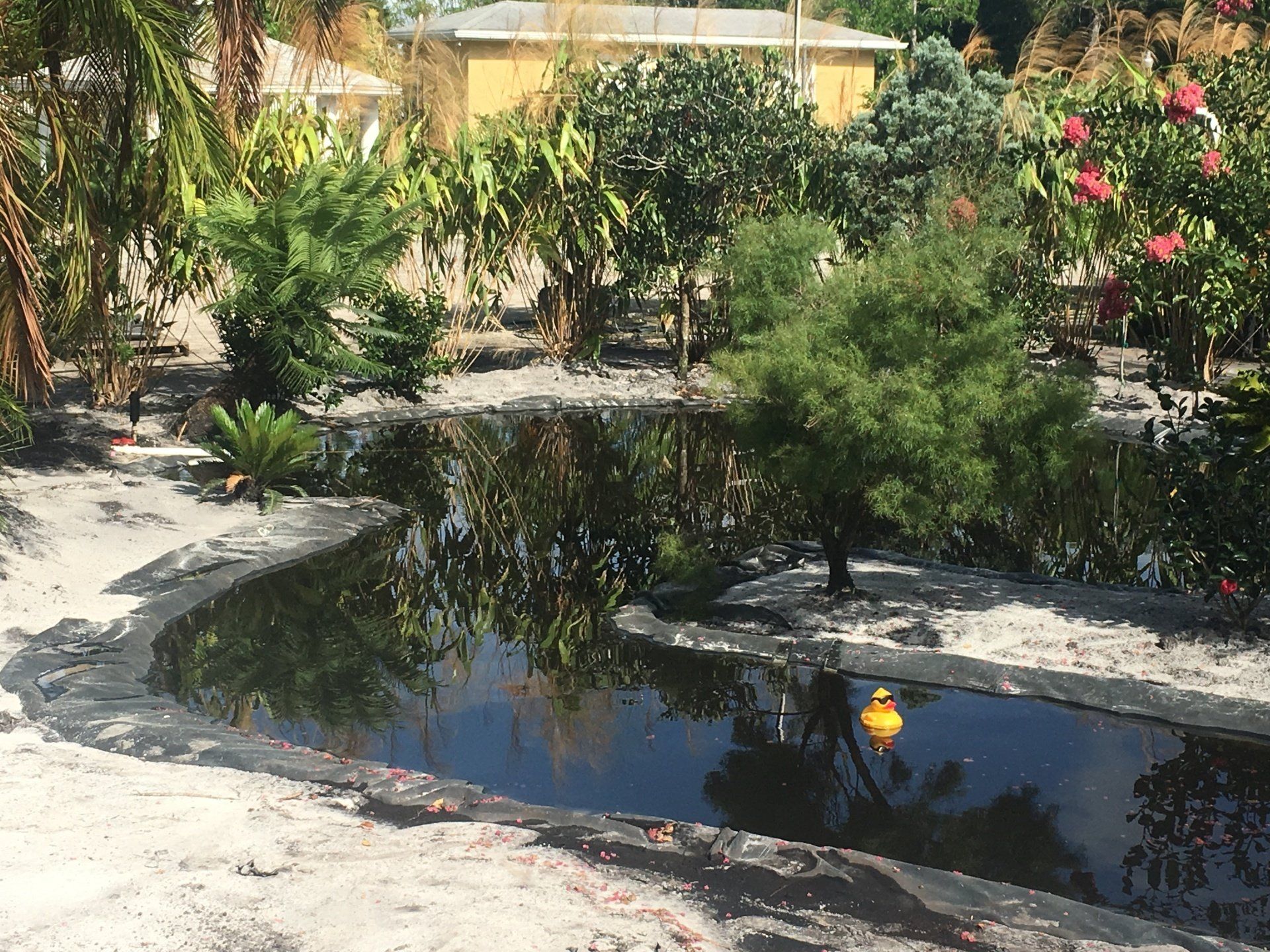 Stevenson Landscaping Project - Ashley Forest (Development) 17