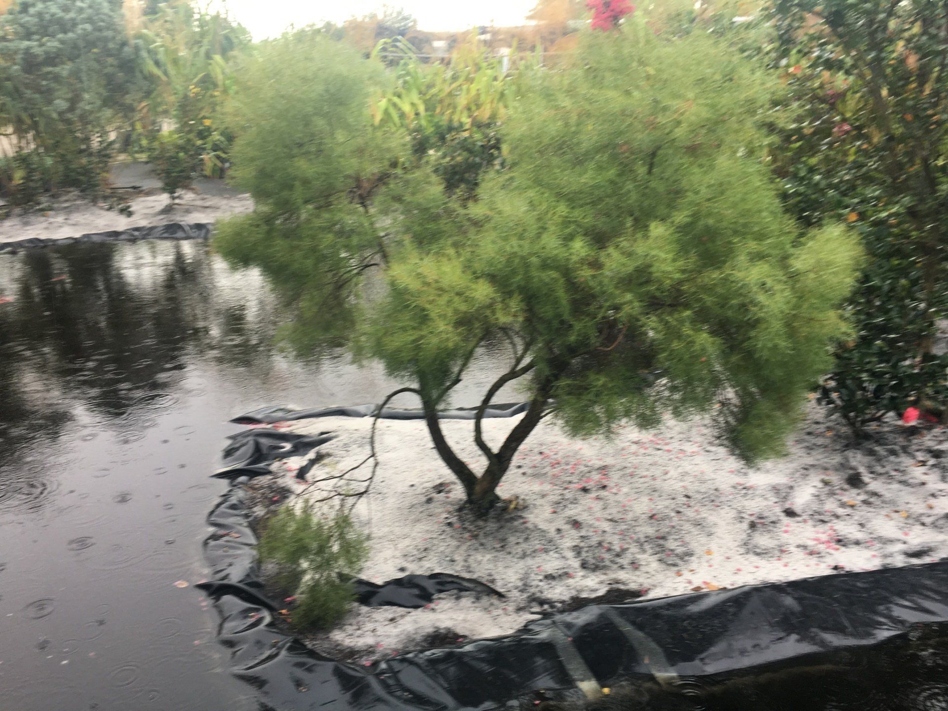 Stevenson Landscaping Project - Ashley Forest (Development) 20