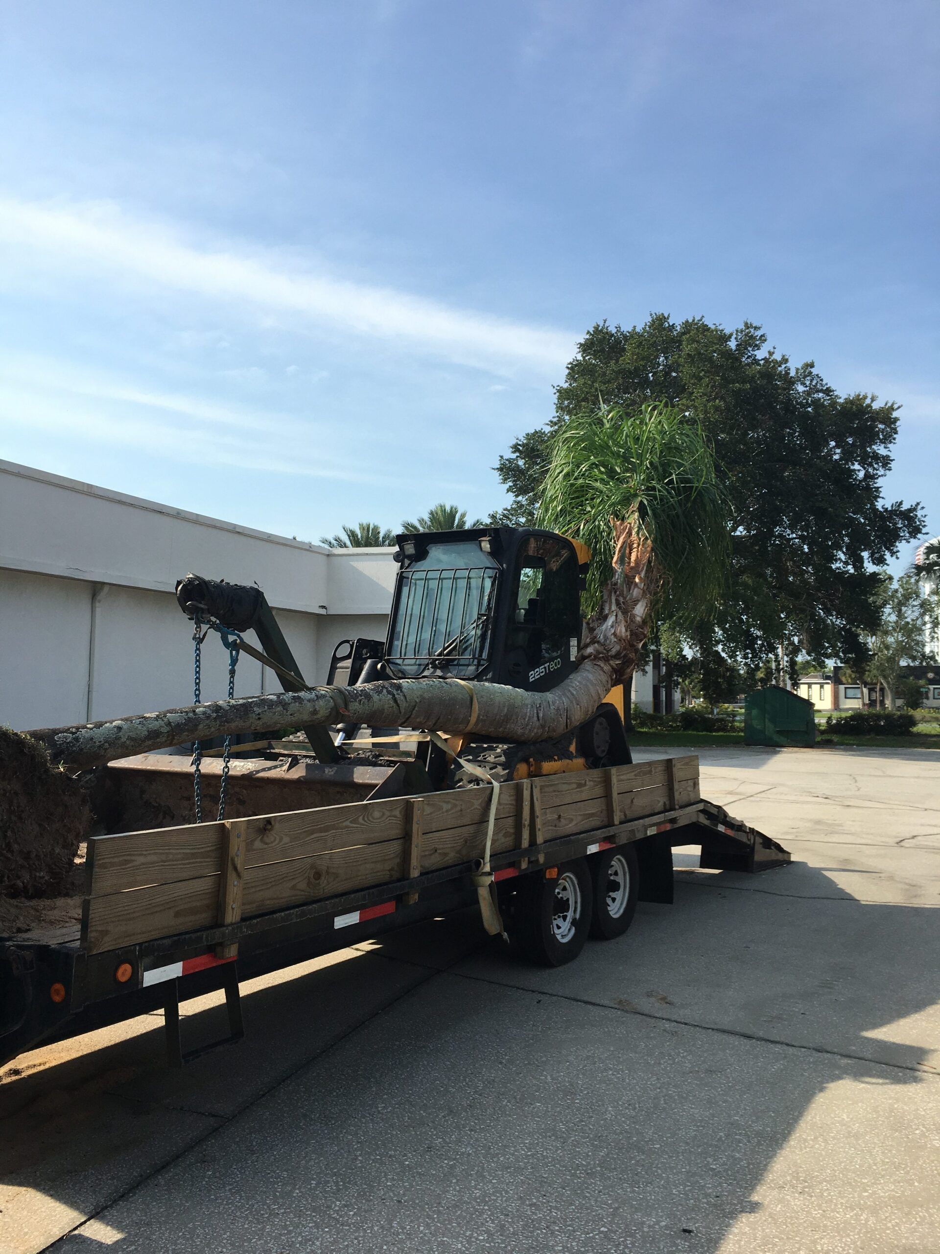 Stevenson Landscaping Project - Ashley Forest (Development) 23