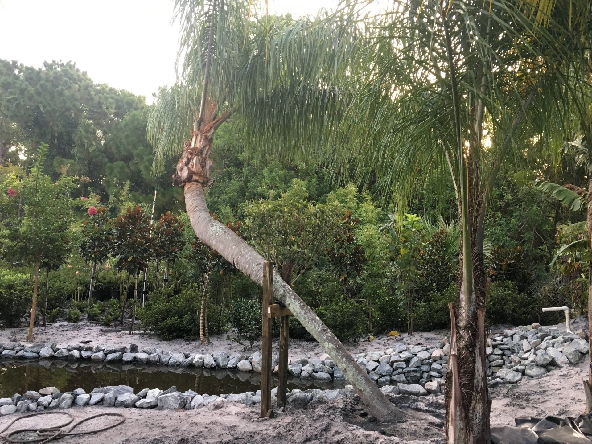 Stevenson Landscaping Project - Ashley Forest (Development) 24