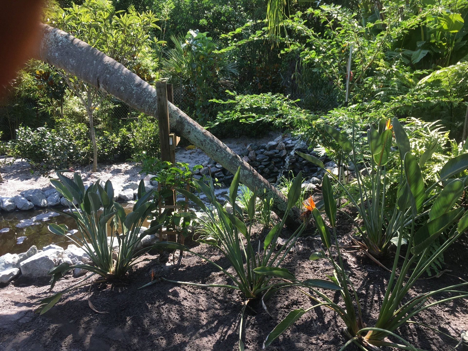 Stevenson Landscaping Project - Ashley Forest (Development) 26