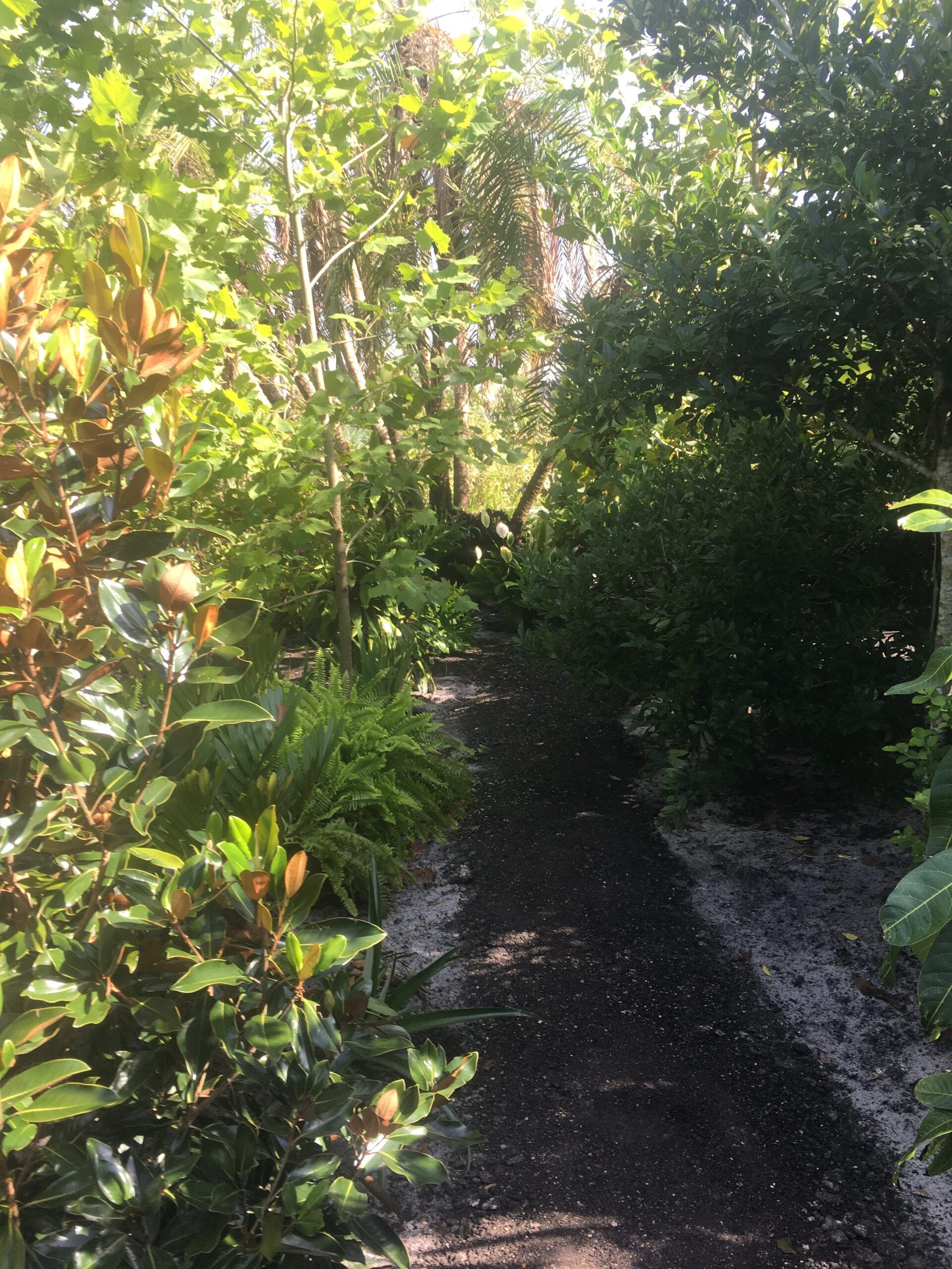 Stevenson Landscaping Project - Ashley Forest (Development) 34