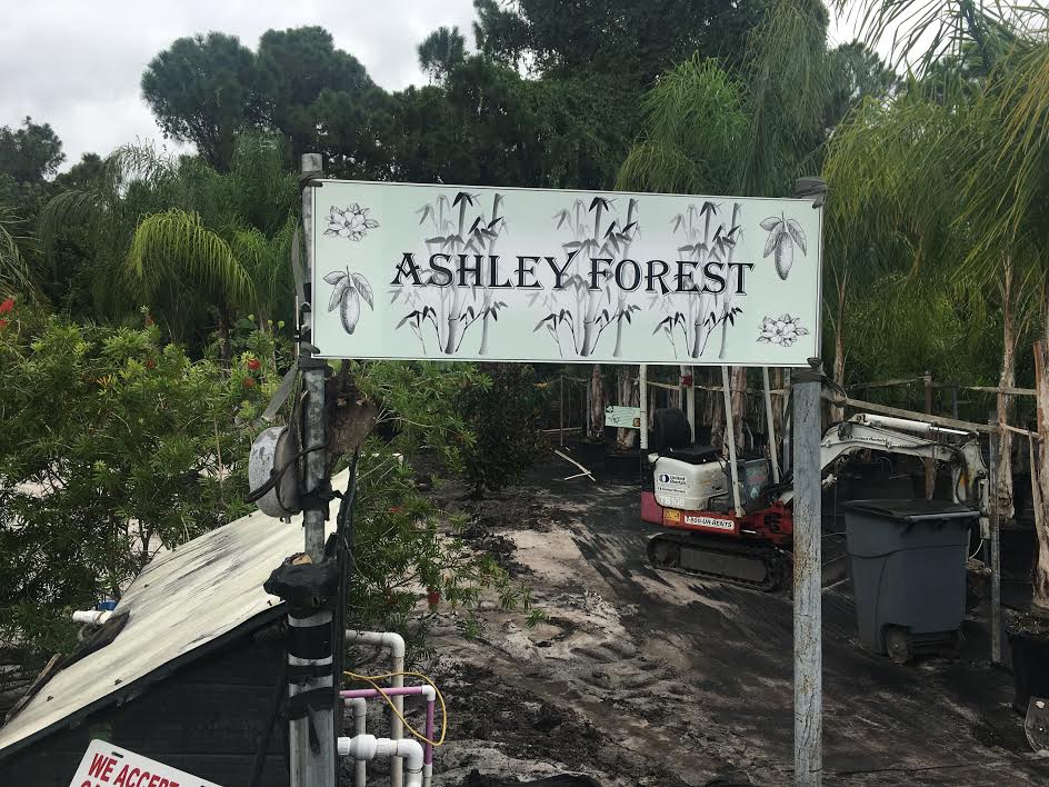 Stevenson Landscaping Project - Ashley Forest (Finished) 01