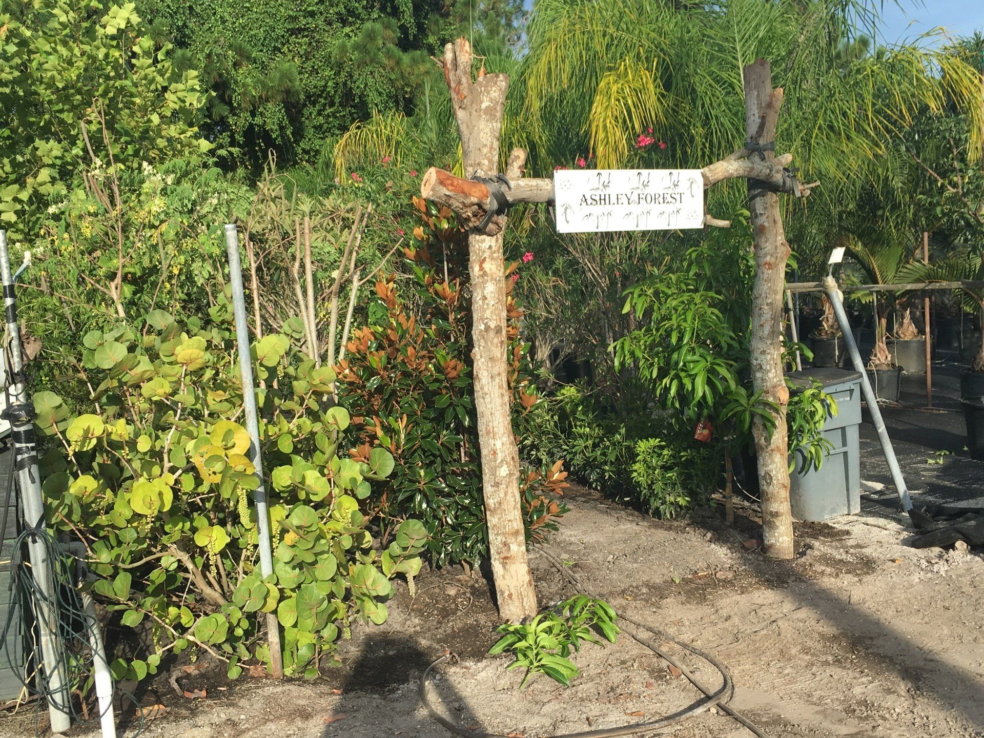 Stevenson Landscaping Project - Ashley Forest (Finished) 02