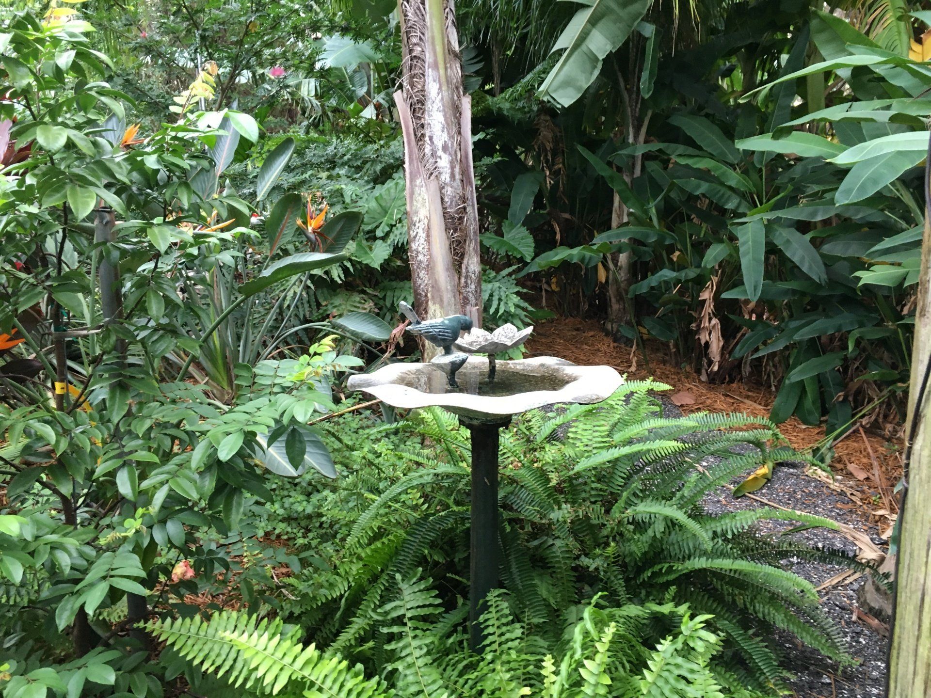 Stevenson Landscaping Project - Ashley Forest (Finished) 05