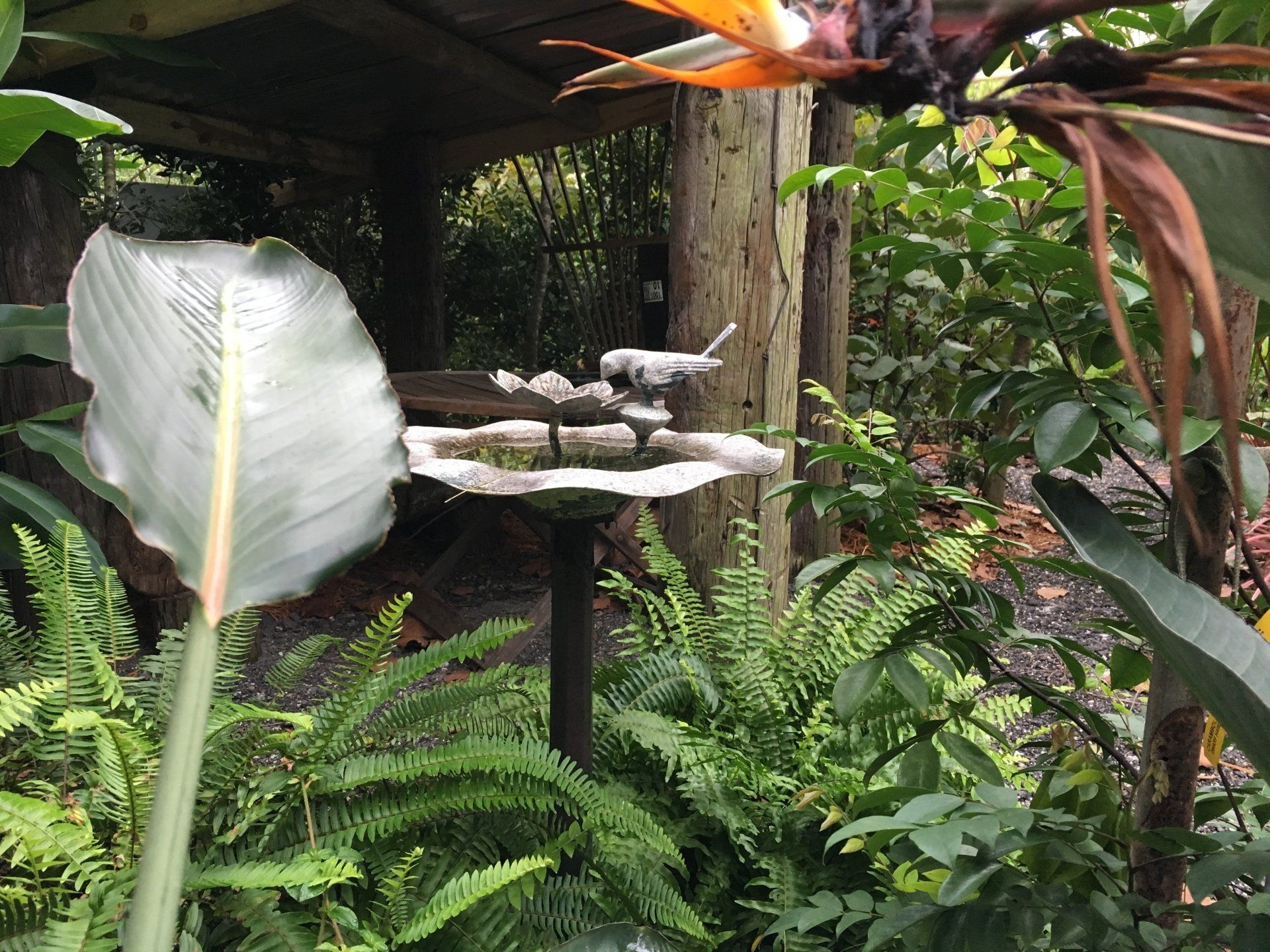 Stevenson Landscaping Project - Ashley Forest (Finished) 07