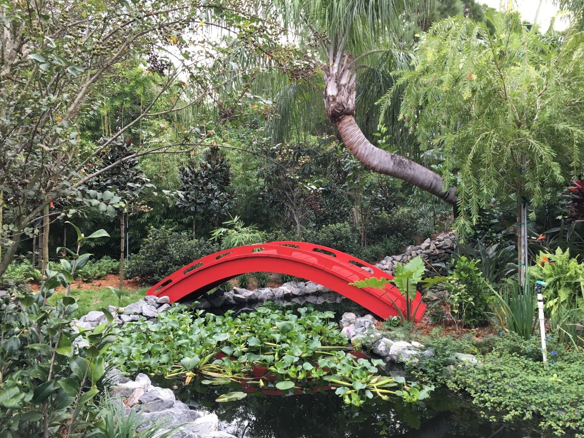 Stevenson Landscaping Project - Ashley Forest (Finished) 14