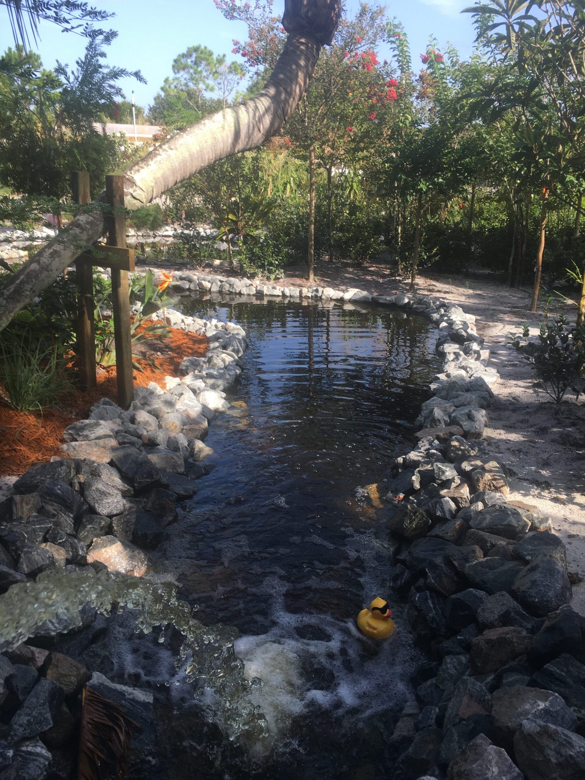 Stevenson Landscaping Project - Ashley Forest (Finished) 18