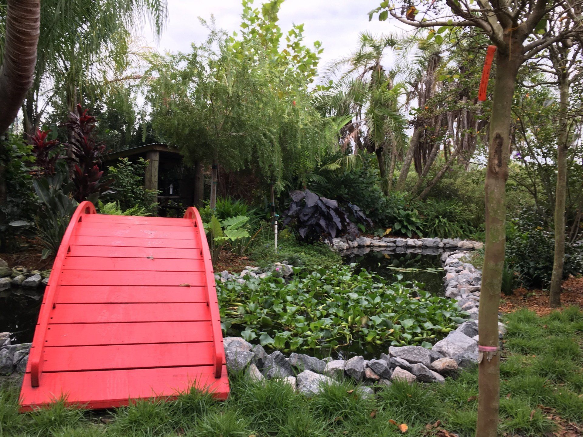 Stevenson Landscaping Project - Ashley Forest (Finished) 20