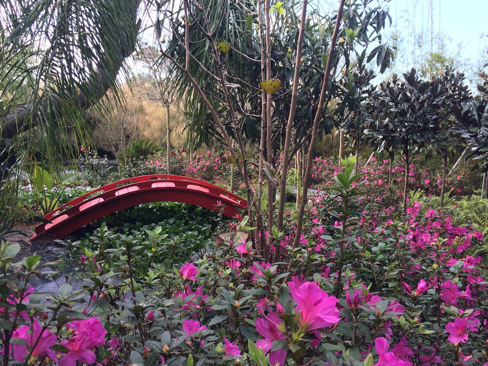 Stevenson Landscaping Project - Ashley Forest (Finished) 26