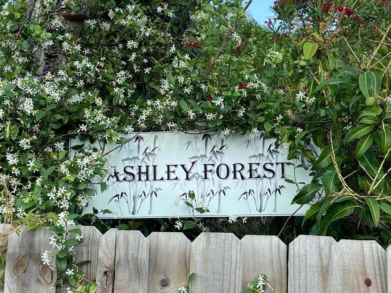 Stevenson Landscaping Project - Ashley Forest (Finished) 27