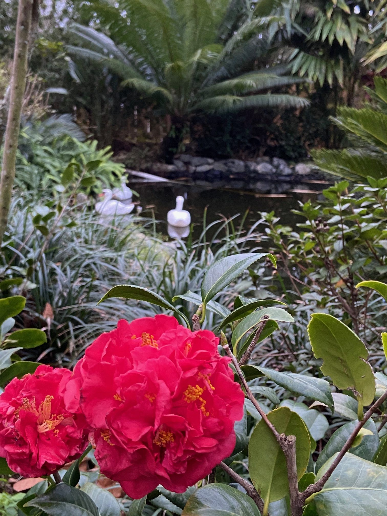 Stevenson Landscaping Project - Ashley Forest (Finished) 28