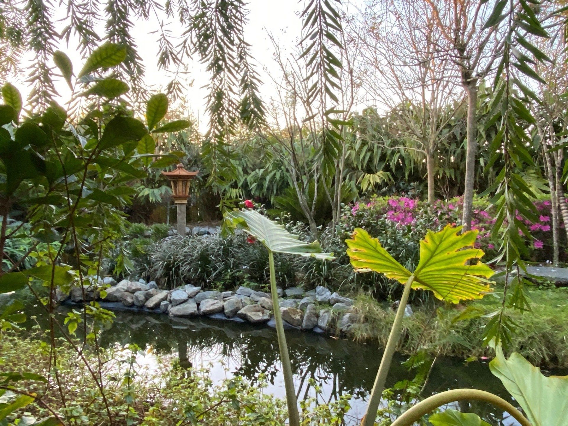 Stevenson Landscaping Project - Ashley Forest (Finished) 30