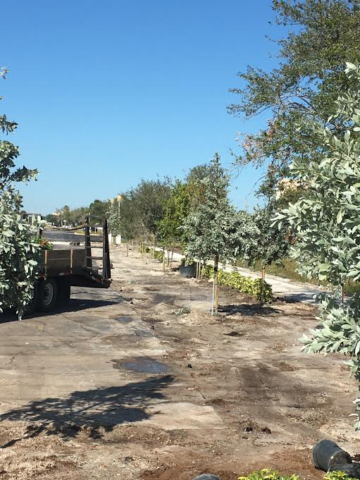 Stevenson Landscaping Project - Uhaul 01