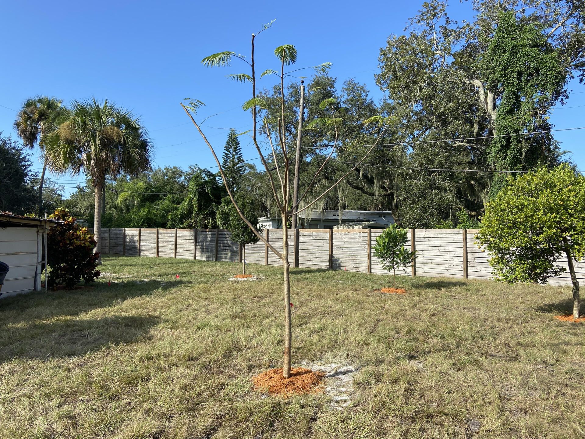 Stevenson Landscaping Project - Cyrus Sidewalk Repair 28