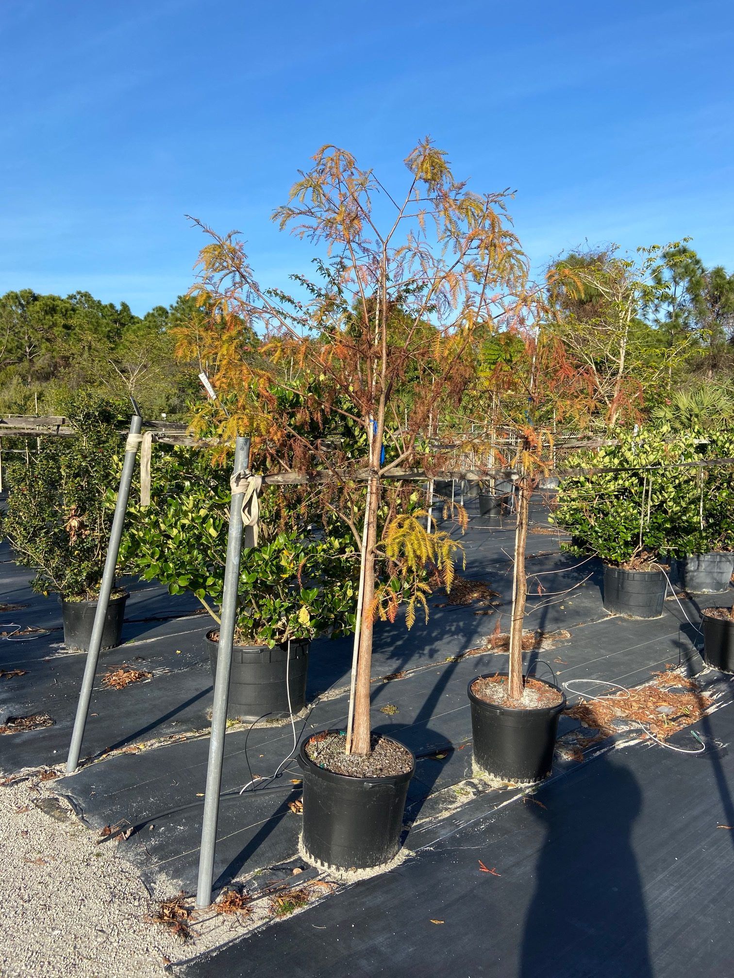 Stevenson Landscaping Project - Sherwood Park 02