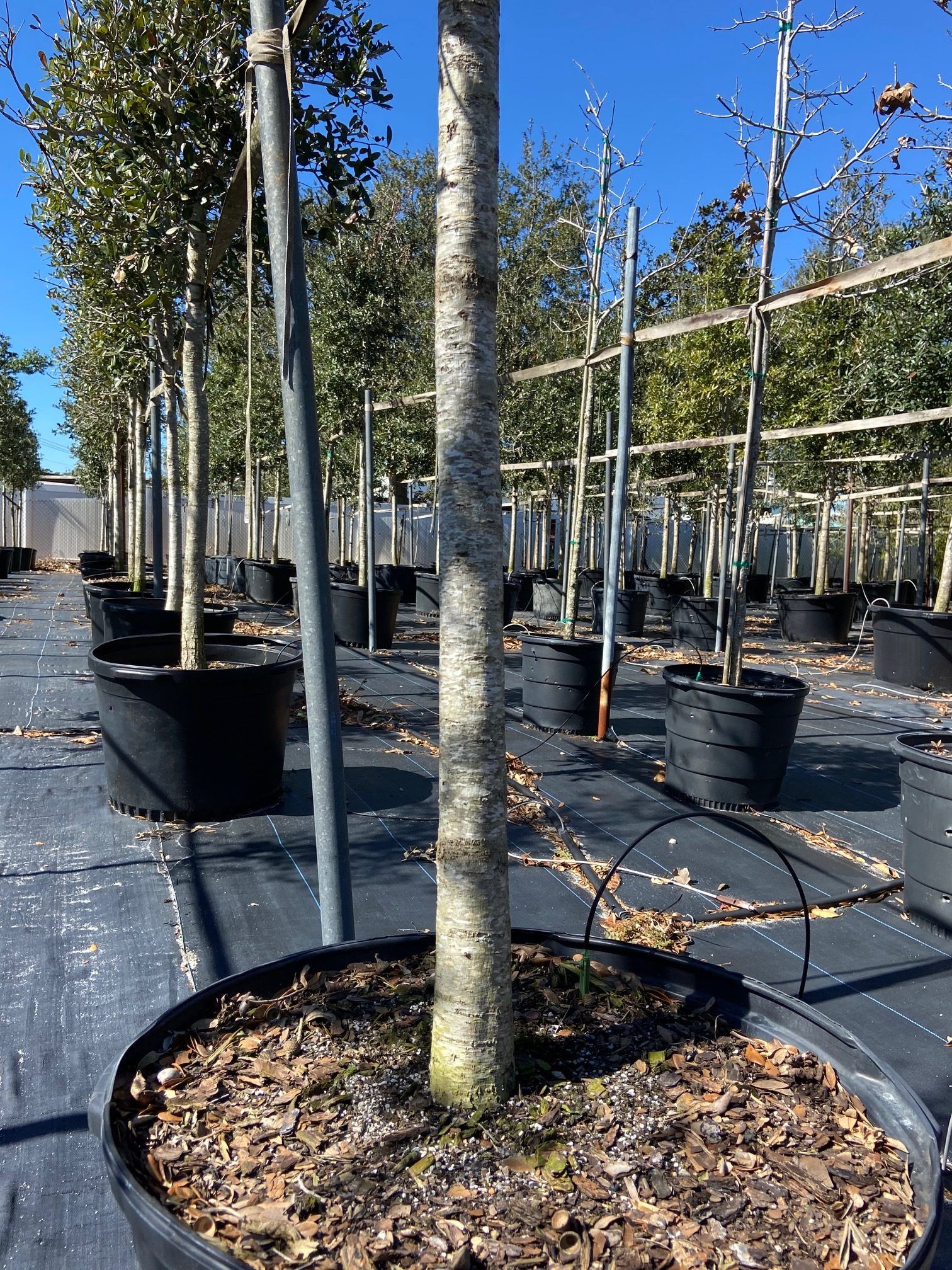 Stevenson Landscaping Project - Sherwood Park 04