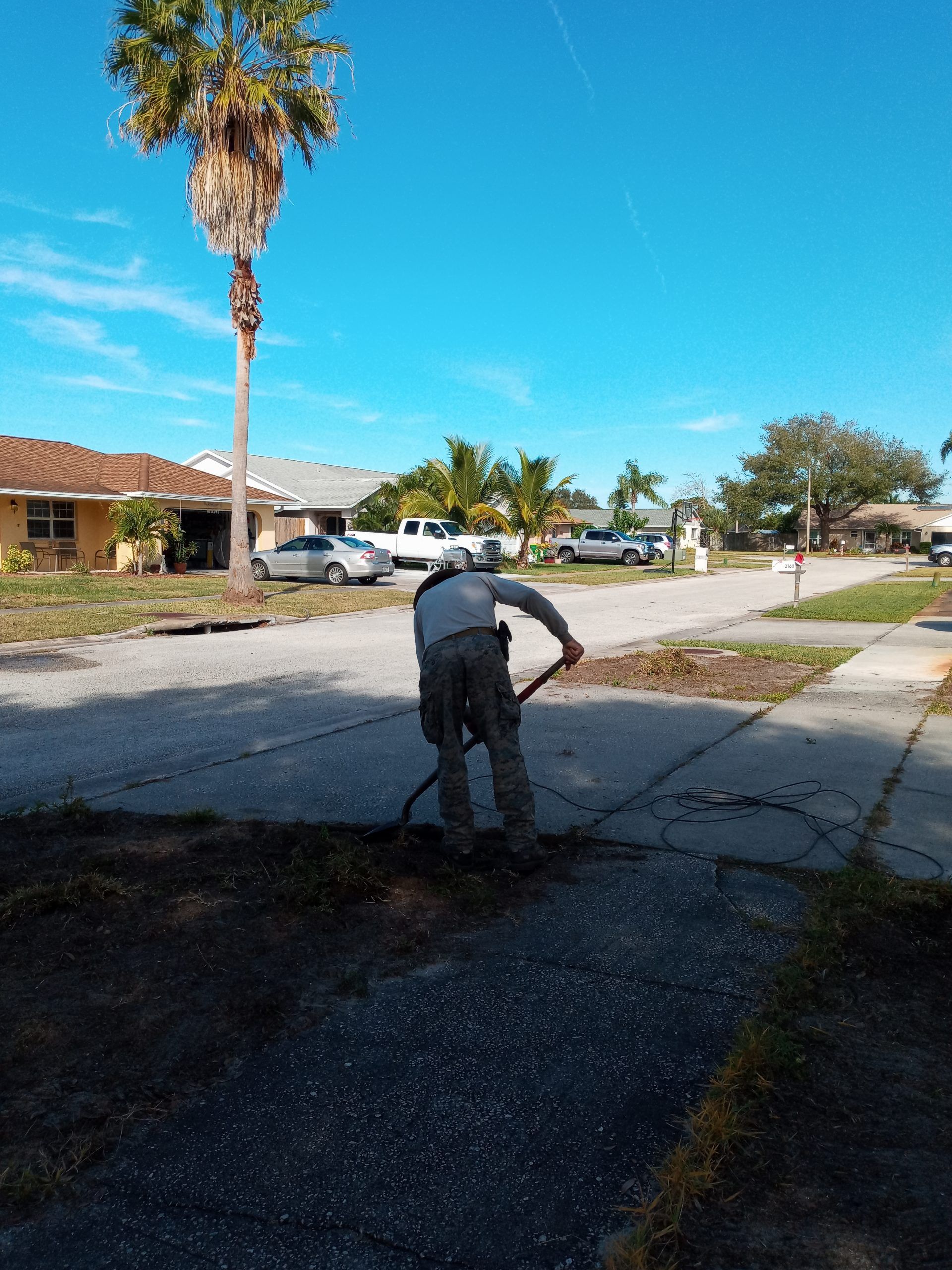 Stevenson Landscaping Project - Renard House 08