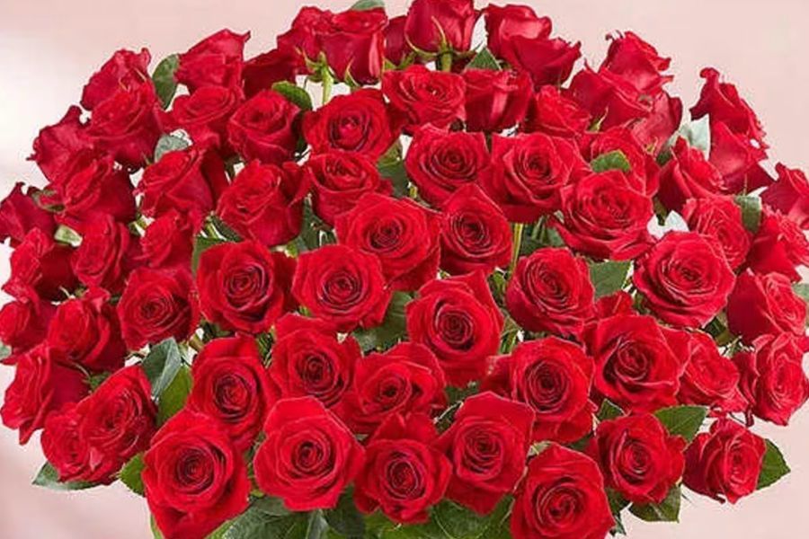 A large bouquet of vibrant red roses with green stems and leaves.