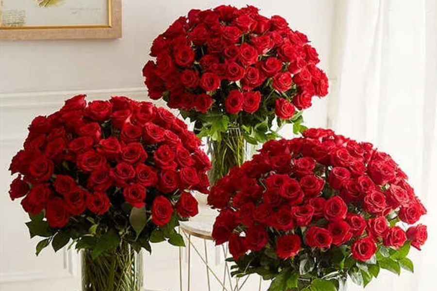 Three large bouquets of red roses in clear glass vases on a white surface.