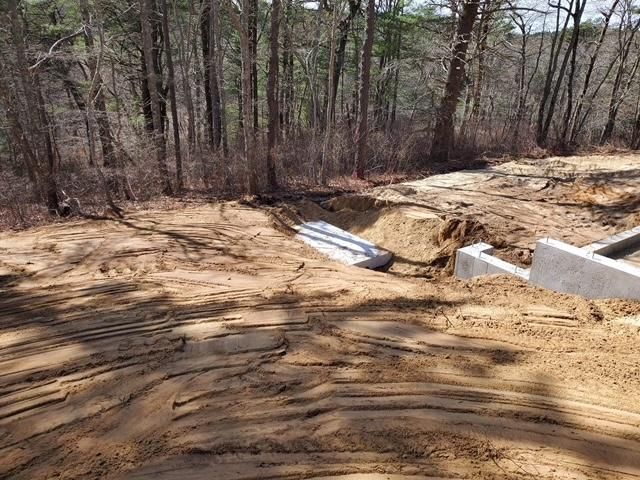 A dirt road in the middle of a forest with trees in the background.