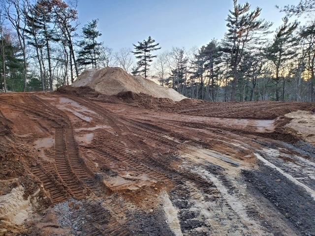 A pile of dirt is sitting on top of a dirt road in the middle of a forest.