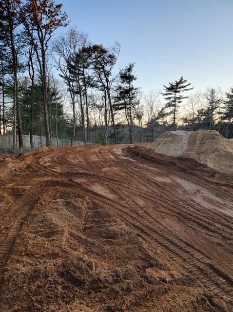 A dirt road in the middle of a forest with trees in the background.