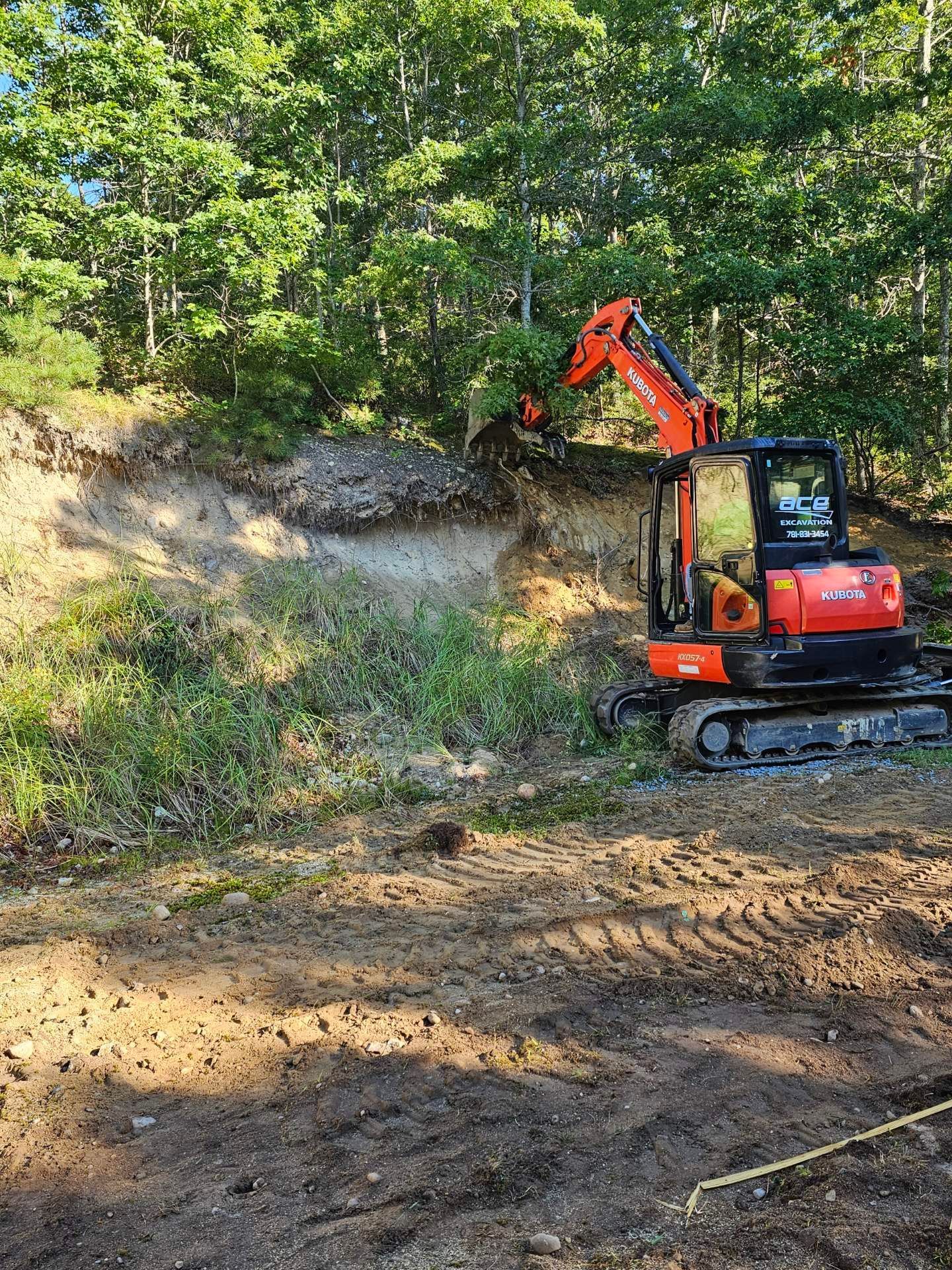 An excavator is digging a hole in the dirt in the woods.