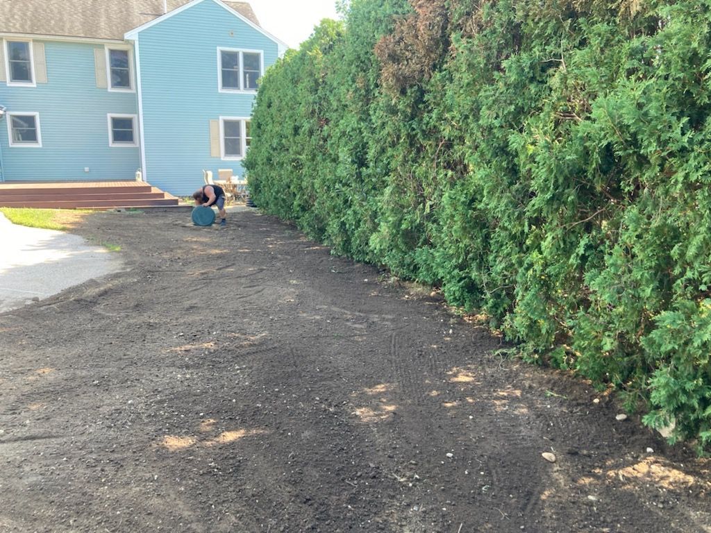 A blue house is behind a lush green hedge.