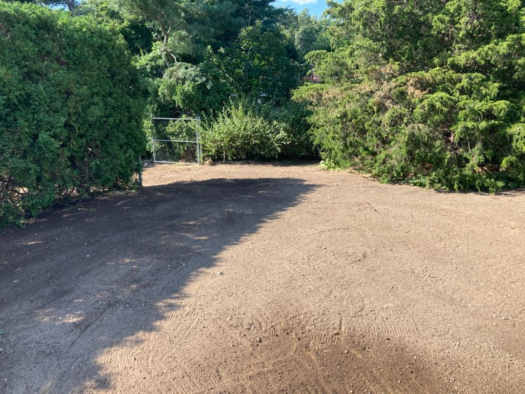 A dirt road surrounded by trees and bushes.