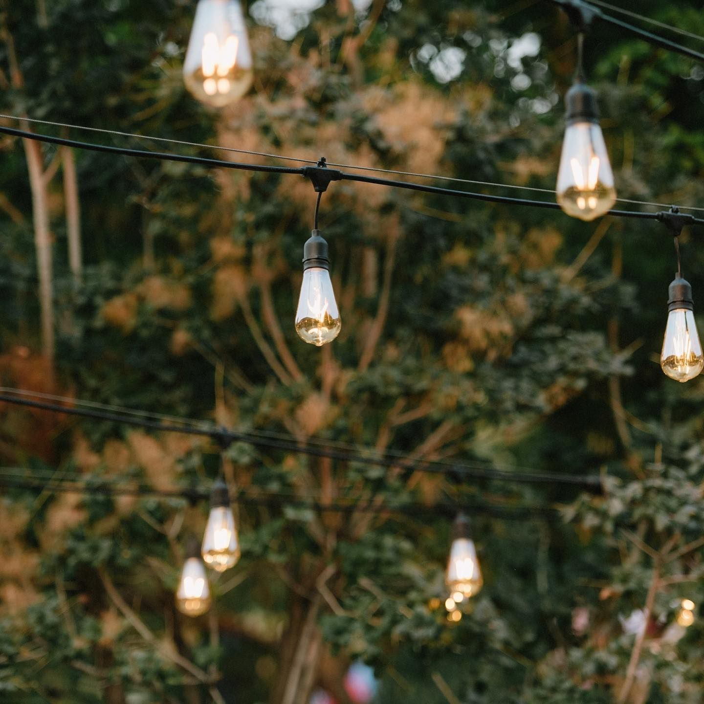 overhead bistro lighting