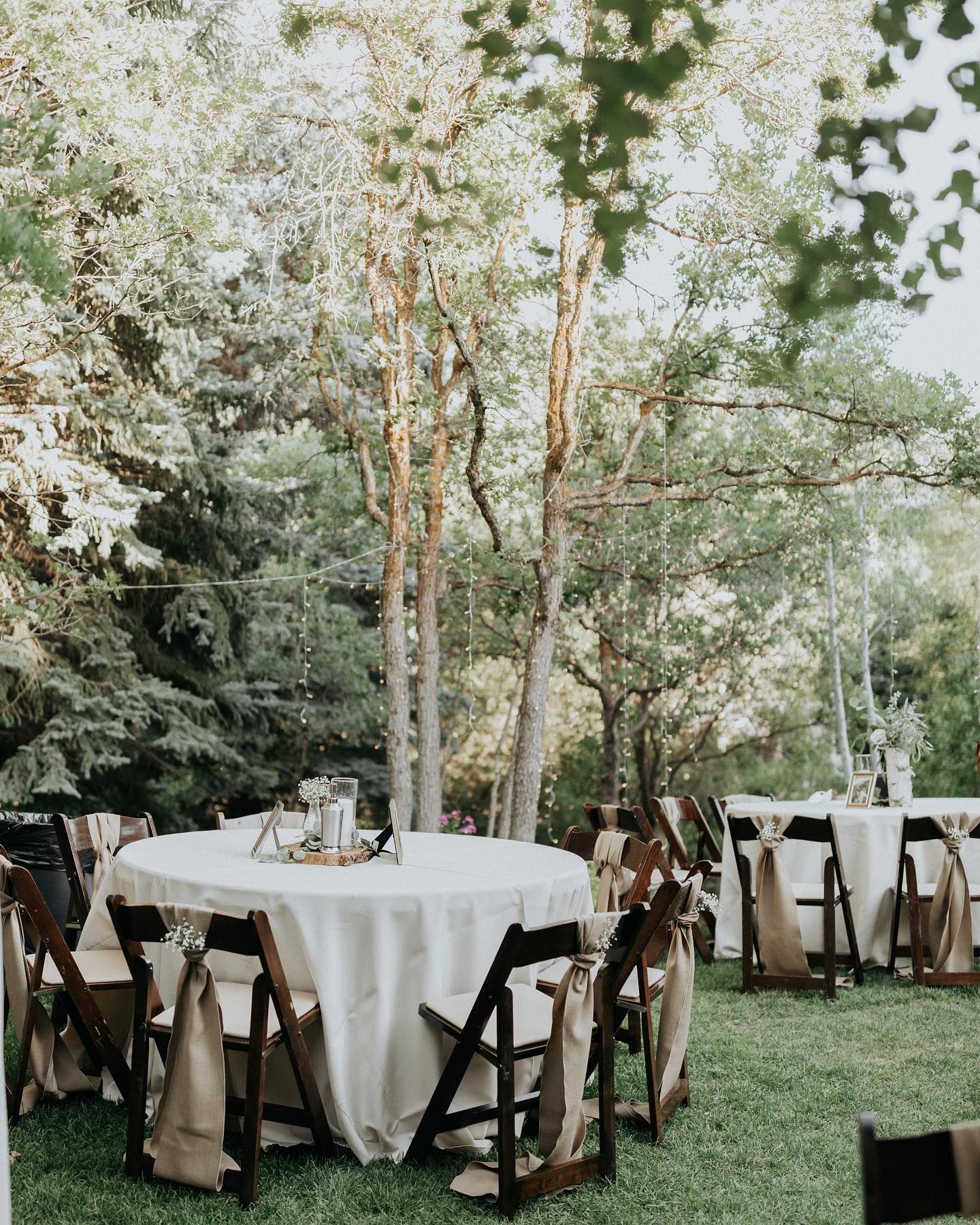 wedding table and chairs