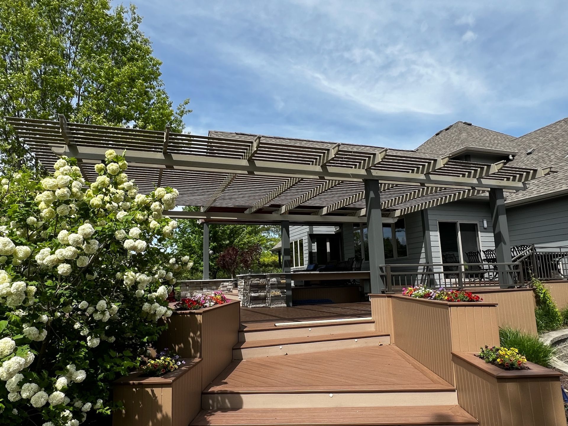 Patio entrance with steps, white flowering shrubs, and a wooden pergola on a sunny day