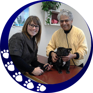 healthy pets of westgate