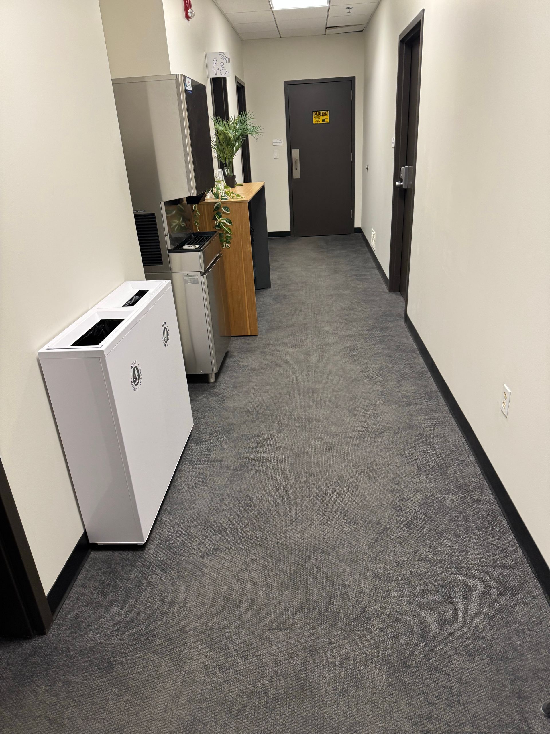 Narrow office hallway with gray carpet, white walls, a cabinet, plants, and a door at the end.