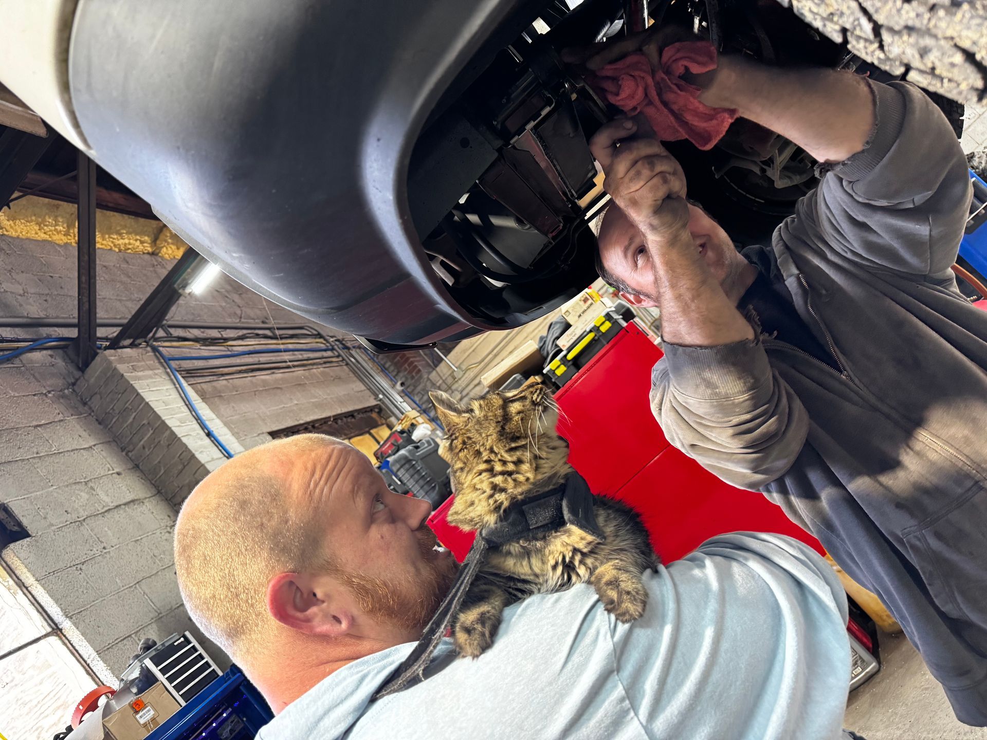 Two mechanics working under a car, one holding a cat.
