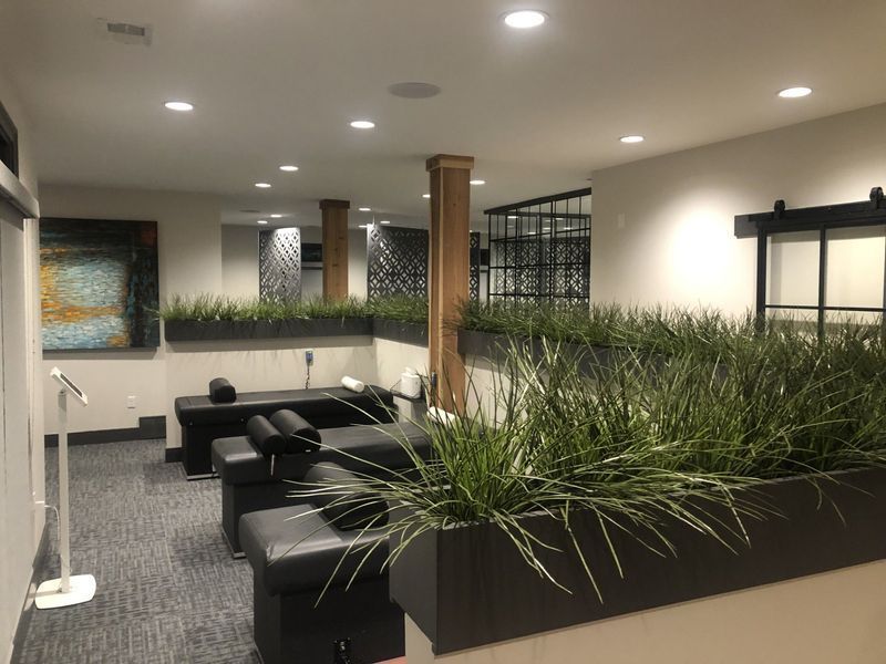 Treatment room with black tables, planters, and decorative panels.