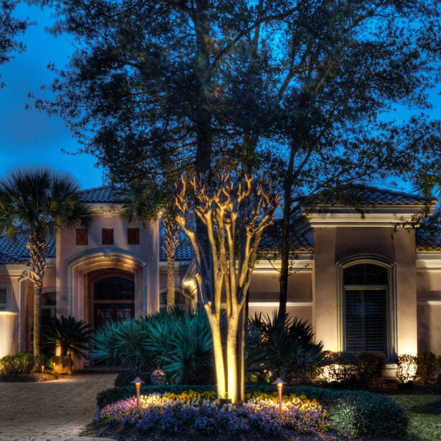 Custom Landscape Lighting House
