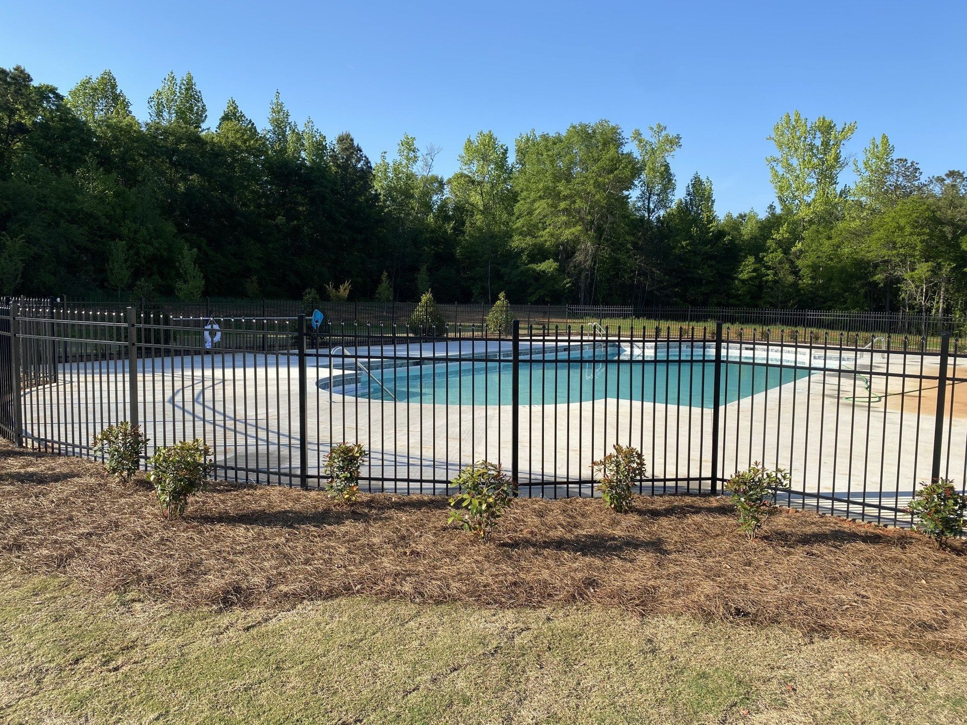 Swimming pool surrounded by a black fence and trees, set in a sunny, grassy area.
