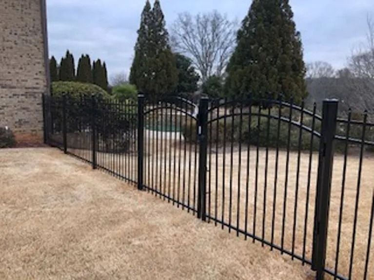 Black metal fence with arched top in a yard.