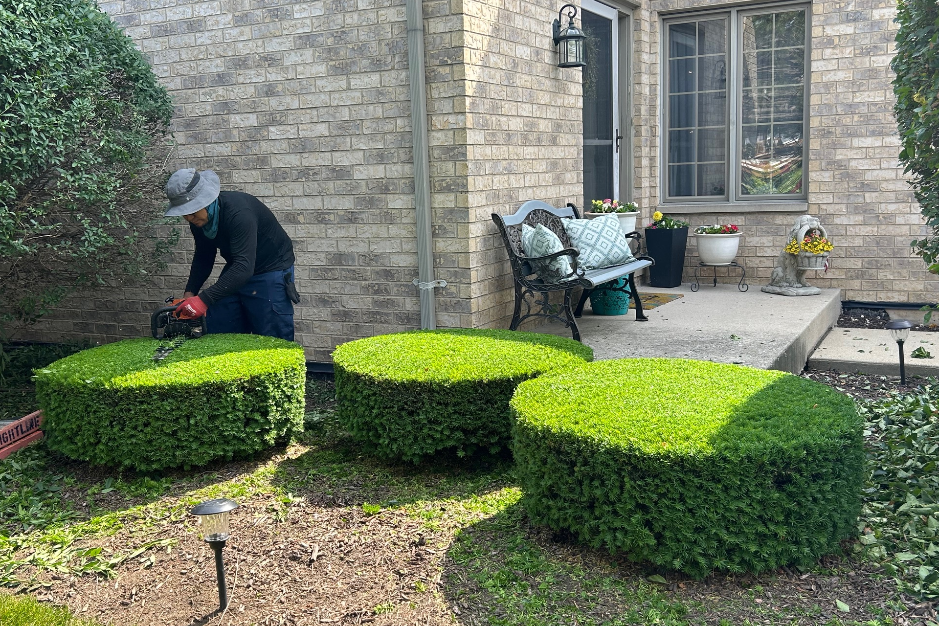 Person trimming round bushes in front of a brick building.